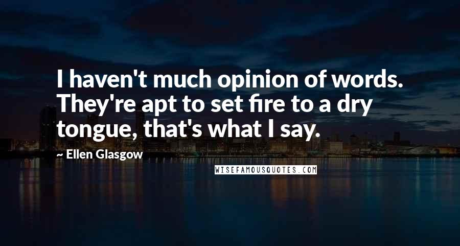 Ellen Glasgow Quotes: I haven't much opinion of words. They're apt to set fire to a dry tongue, that's what I say.