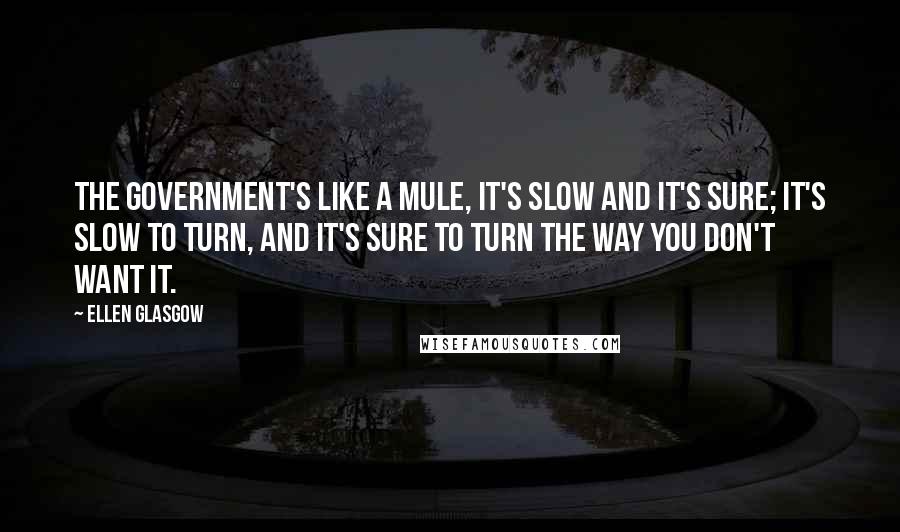 Ellen Glasgow Quotes: The government's like a mule, it's slow and it's sure; it's slow to turn, and it's sure to turn the way you don't want it.