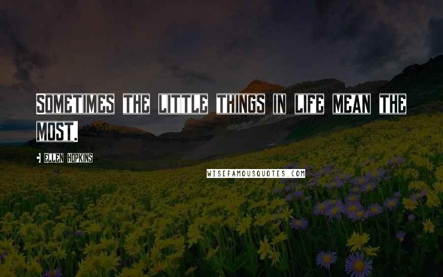 Ellen Hopkins Quotes: Sometimes the little things in life mean the most.