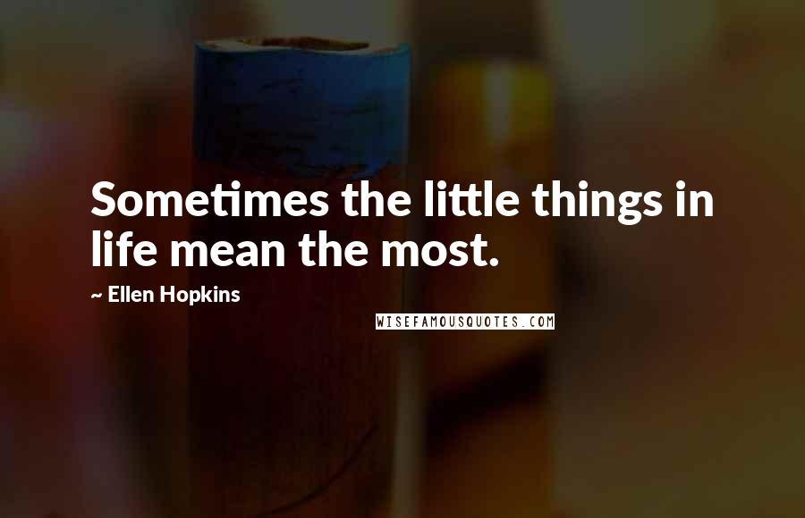 Ellen Hopkins Quotes: Sometimes the little things in life mean the most.