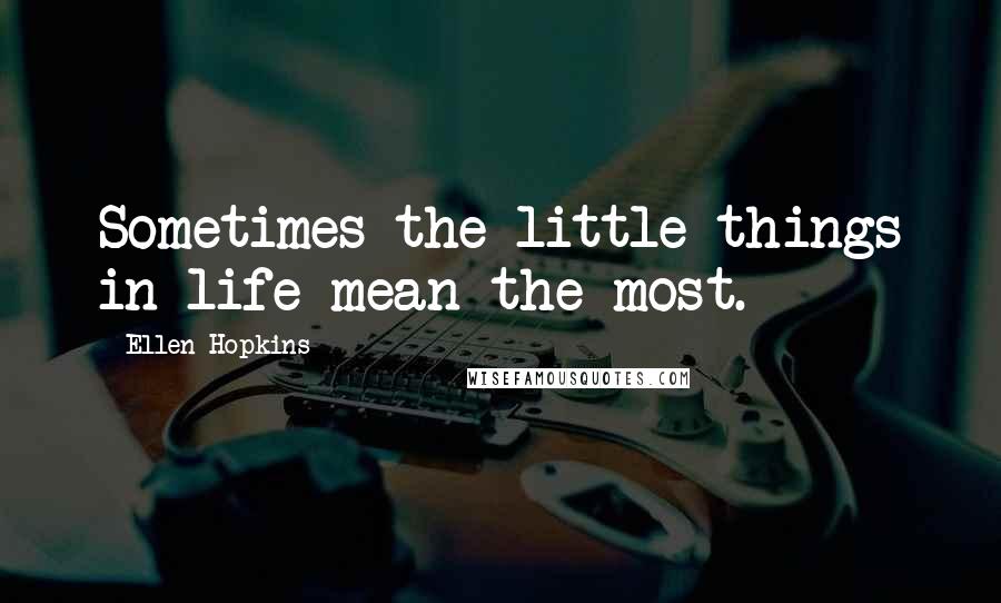 Ellen Hopkins Quotes: Sometimes the little things in life mean the most.