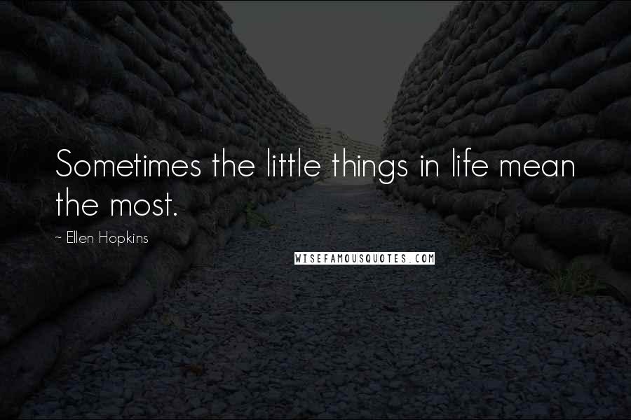 Ellen Hopkins Quotes: Sometimes the little things in life mean the most.