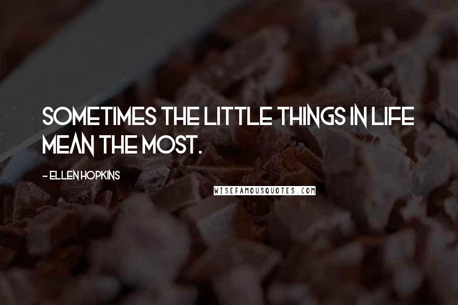 Ellen Hopkins Quotes: Sometimes the little things in life mean the most.