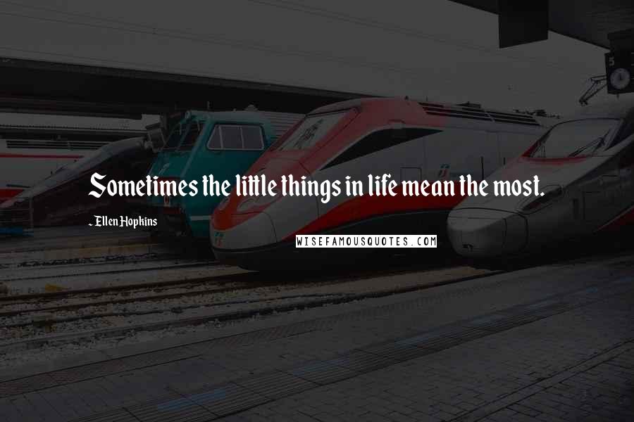 Ellen Hopkins Quotes: Sometimes the little things in life mean the most.