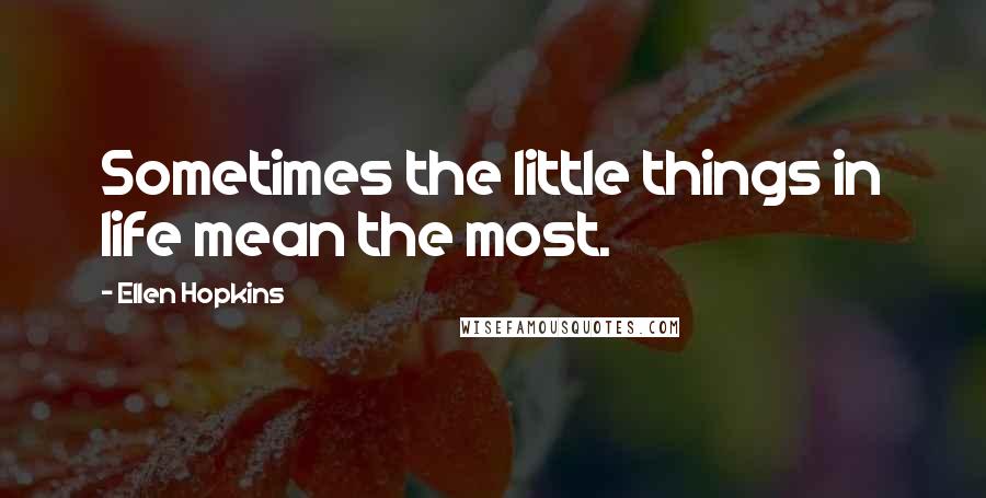 Ellen Hopkins Quotes: Sometimes the little things in life mean the most.