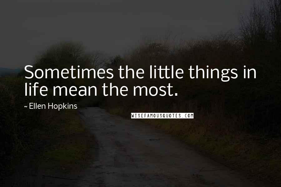 Ellen Hopkins Quotes: Sometimes the little things in life mean the most.