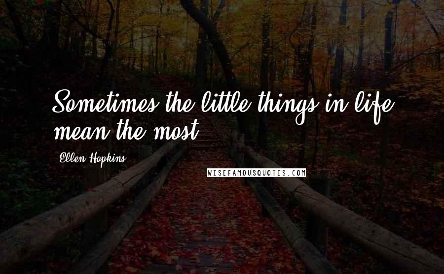 Ellen Hopkins Quotes: Sometimes the little things in life mean the most.