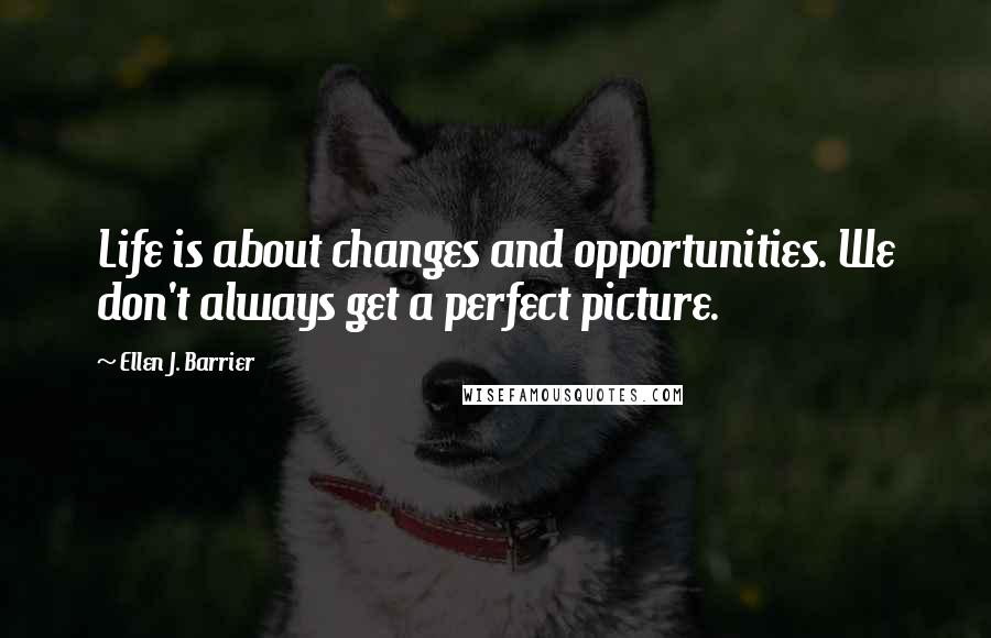 Ellen J. Barrier Quotes: Life is about changes and opportunities. We don't always get a perfect picture.