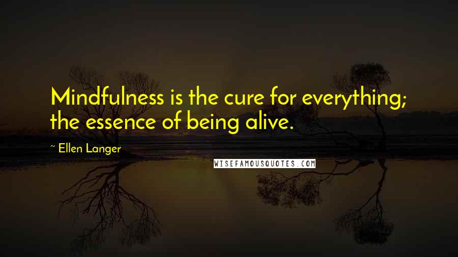 Ellen Langer Quotes: Mindfulness is the cure for everything; the essence of being alive.