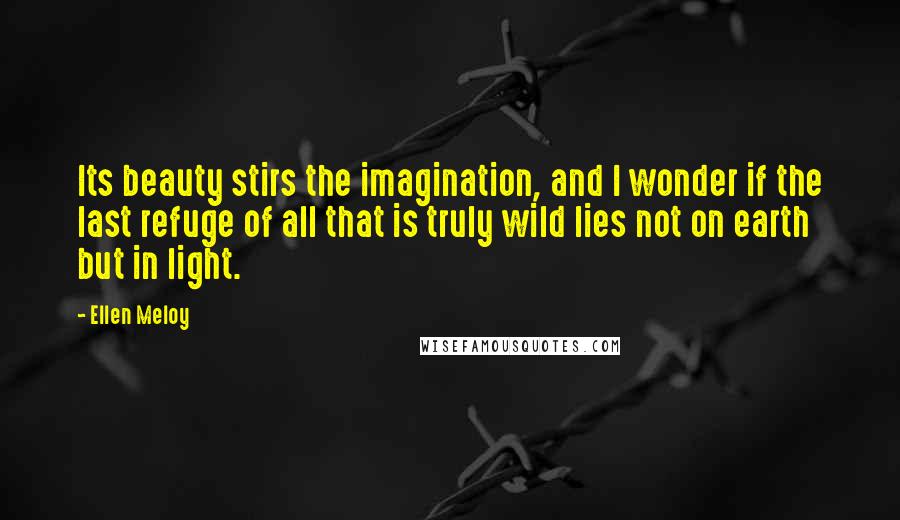 Ellen Meloy Quotes: Its beauty stirs the imagination, and I wonder if the last refuge of all that is truly wild lies not on earth but in light.