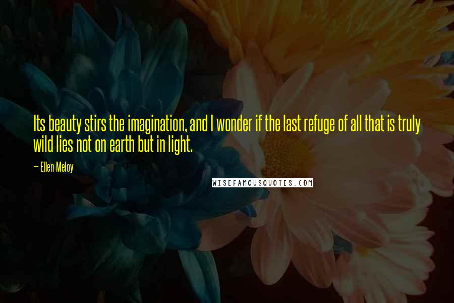 Ellen Meloy Quotes: Its beauty stirs the imagination, and I wonder if the last refuge of all that is truly wild lies not on earth but in light.