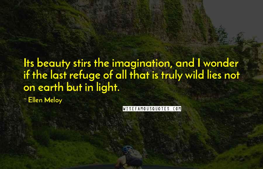 Ellen Meloy Quotes: Its beauty stirs the imagination, and I wonder if the last refuge of all that is truly wild lies not on earth but in light.