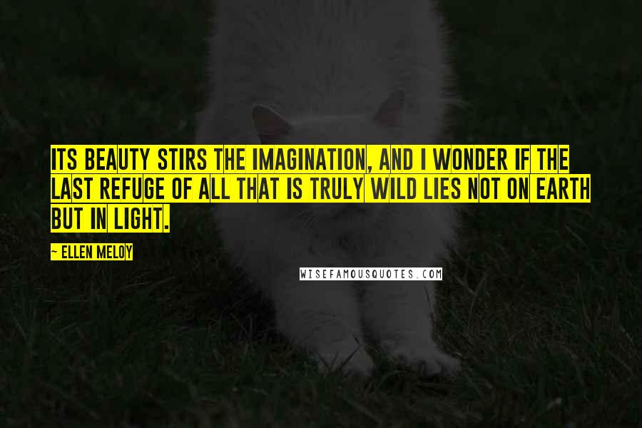 Ellen Meloy Quotes: Its beauty stirs the imagination, and I wonder if the last refuge of all that is truly wild lies not on earth but in light.