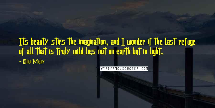 Ellen Meloy Quotes: Its beauty stirs the imagination, and I wonder if the last refuge of all that is truly wild lies not on earth but in light.