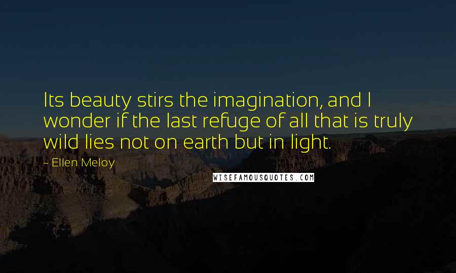Ellen Meloy Quotes: Its beauty stirs the imagination, and I wonder if the last refuge of all that is truly wild lies not on earth but in light.