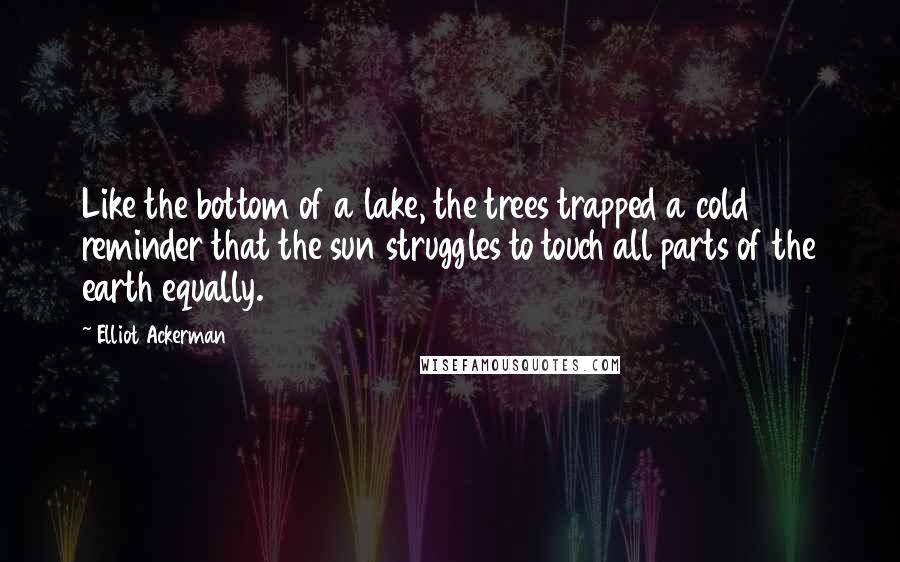 Elliot Ackerman Quotes: Like the bottom of a lake, the trees trapped a cold reminder that the sun struggles to touch all parts of the earth equally.