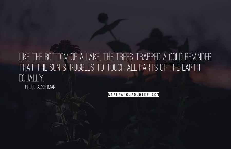 Elliot Ackerman Quotes: Like the bottom of a lake, the trees trapped a cold reminder that the sun struggles to touch all parts of the earth equally.