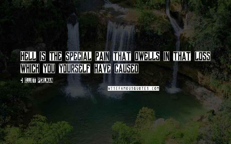 Elliot Perlman Quotes: Hell is the special pain that dwells in that loss which you yourself have caused