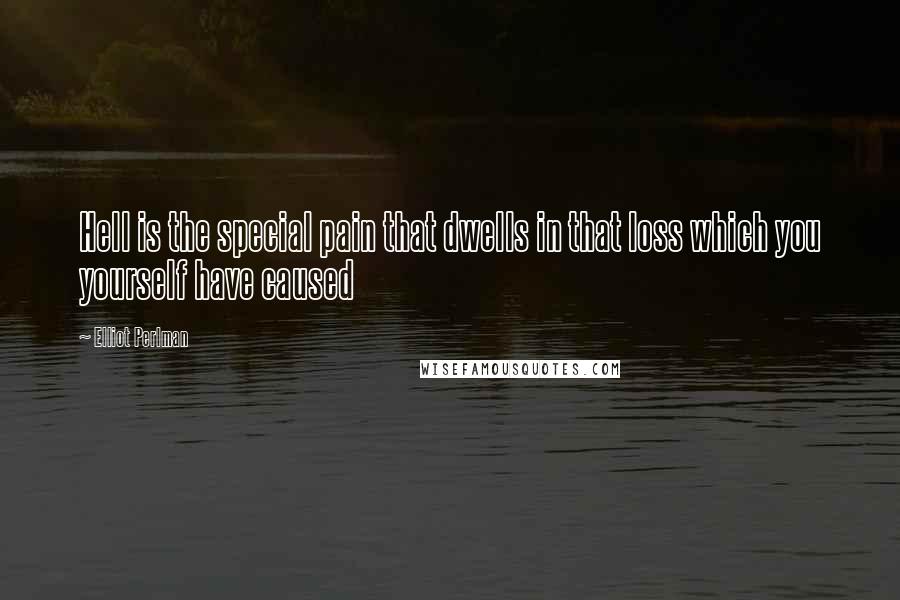 Elliot Perlman Quotes: Hell is the special pain that dwells in that loss which you yourself have caused