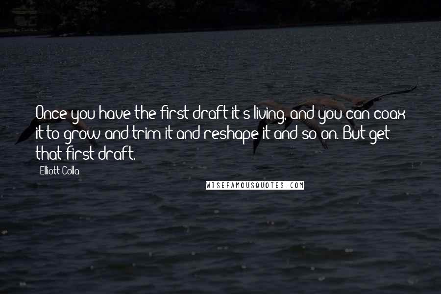 Elliott Colla Quotes: Once you have the first draft it's living, and you can coax it to grow and trim it and reshape it and so on. But get that first draft.