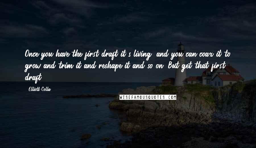 Elliott Colla Quotes: Once you have the first draft it's living, and you can coax it to grow and trim it and reshape it and so on. But get that first draft.