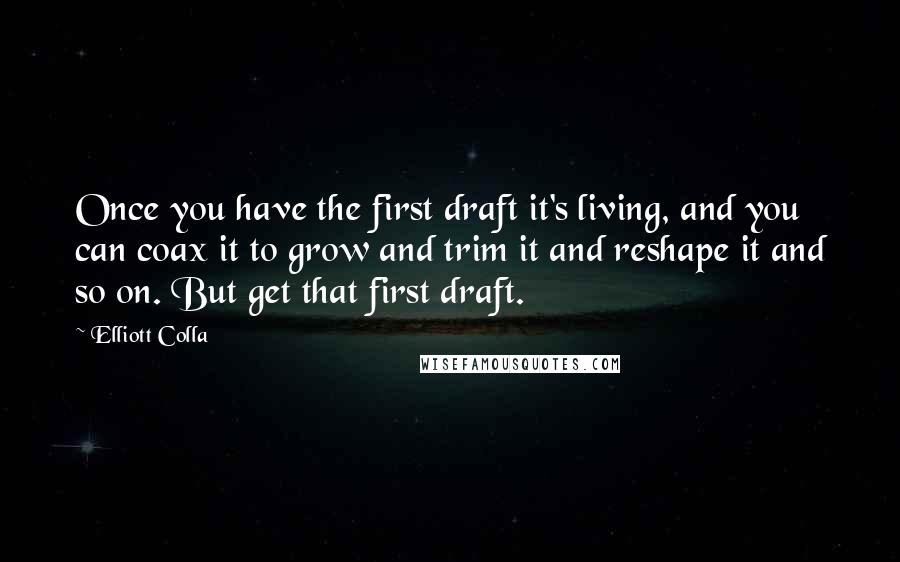 Elliott Colla Quotes: Once you have the first draft it's living, and you can coax it to grow and trim it and reshape it and so on. But get that first draft.