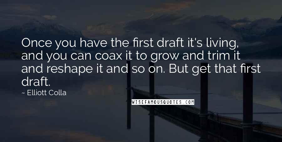 Elliott Colla Quotes: Once you have the first draft it's living, and you can coax it to grow and trim it and reshape it and so on. But get that first draft.