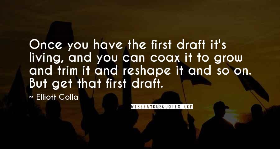 Elliott Colla Quotes: Once you have the first draft it's living, and you can coax it to grow and trim it and reshape it and so on. But get that first draft.