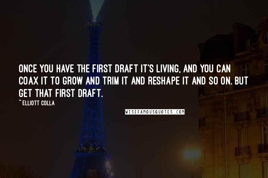 Elliott Colla Quotes: Once you have the first draft it's living, and you can coax it to grow and trim it and reshape it and so on. But get that first draft.