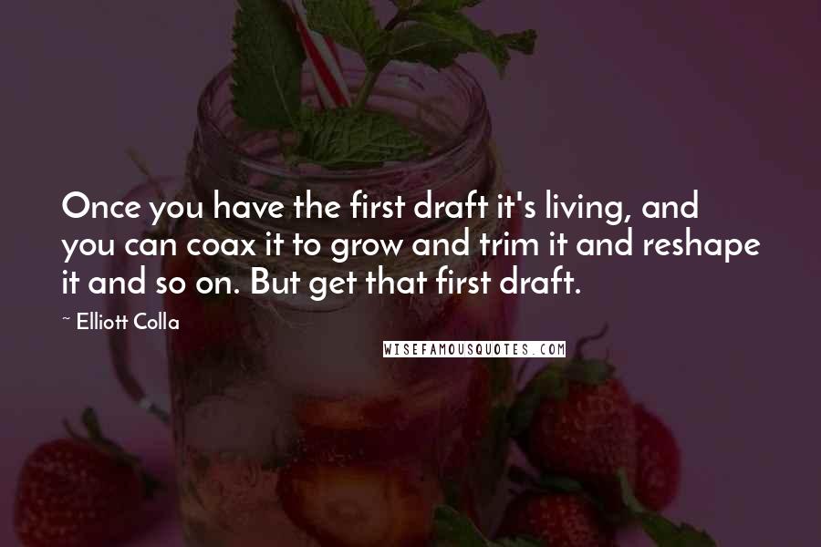 Elliott Colla Quotes: Once you have the first draft it's living, and you can coax it to grow and trim it and reshape it and so on. But get that first draft.