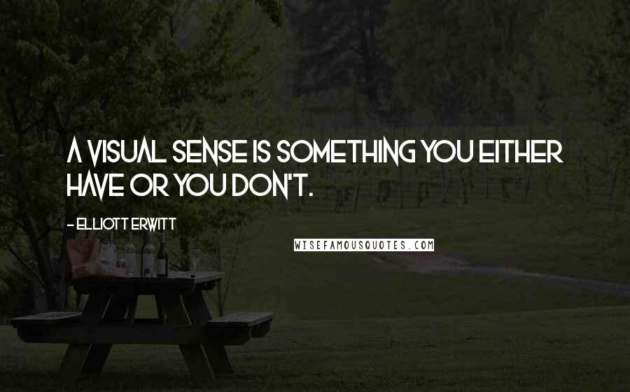 Elliott Erwitt Quotes: A visual sense is something you either have or you don't.