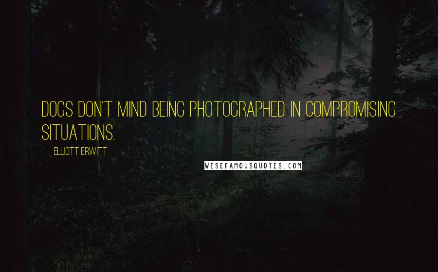 Elliott Erwitt Quotes: Dogs don't mind being photographed in compromising situations.