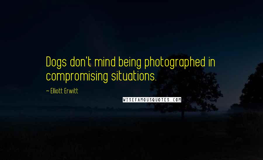 Elliott Erwitt Quotes: Dogs don't mind being photographed in compromising situations.