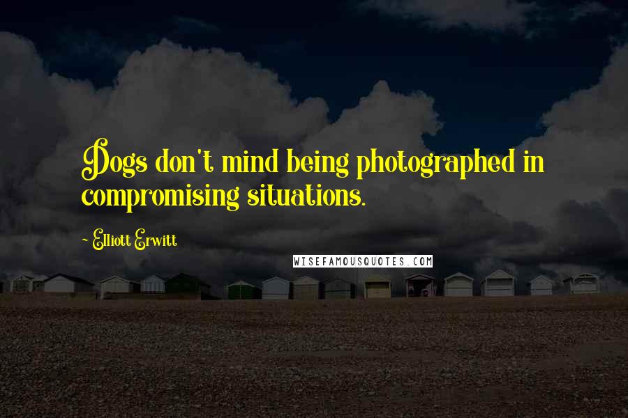 Elliott Erwitt Quotes: Dogs don't mind being photographed in compromising situations.