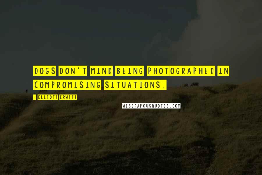 Elliott Erwitt Quotes: Dogs don't mind being photographed in compromising situations.