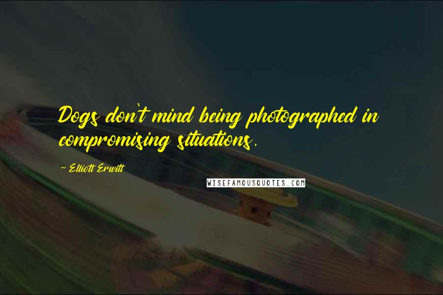 Elliott Erwitt Quotes: Dogs don't mind being photographed in compromising situations.