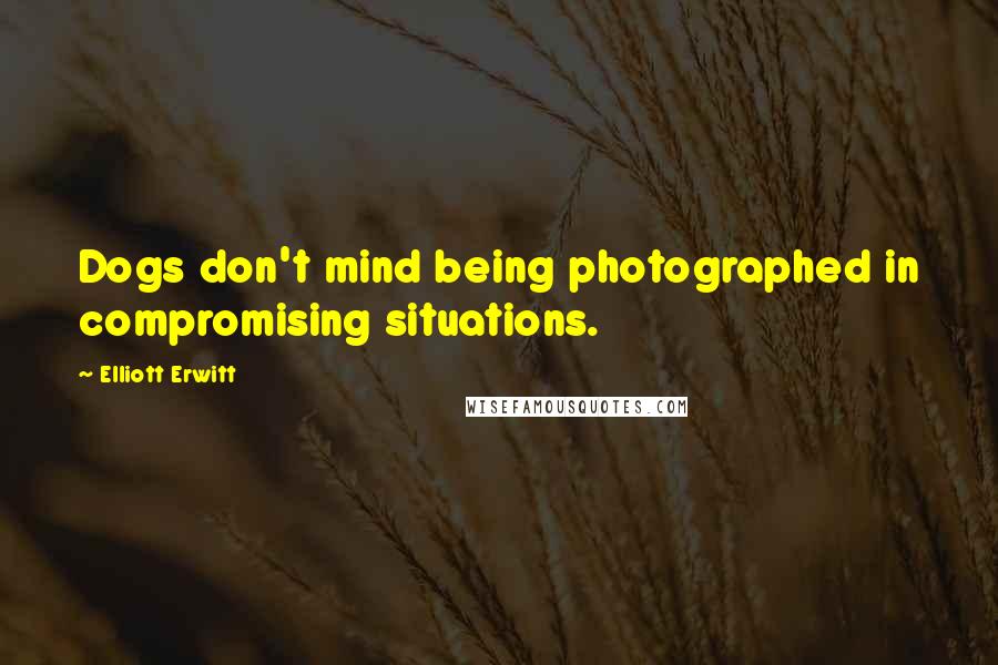 Elliott Erwitt Quotes: Dogs don't mind being photographed in compromising situations.