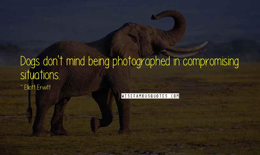 Elliott Erwitt Quotes: Dogs don't mind being photographed in compromising situations.