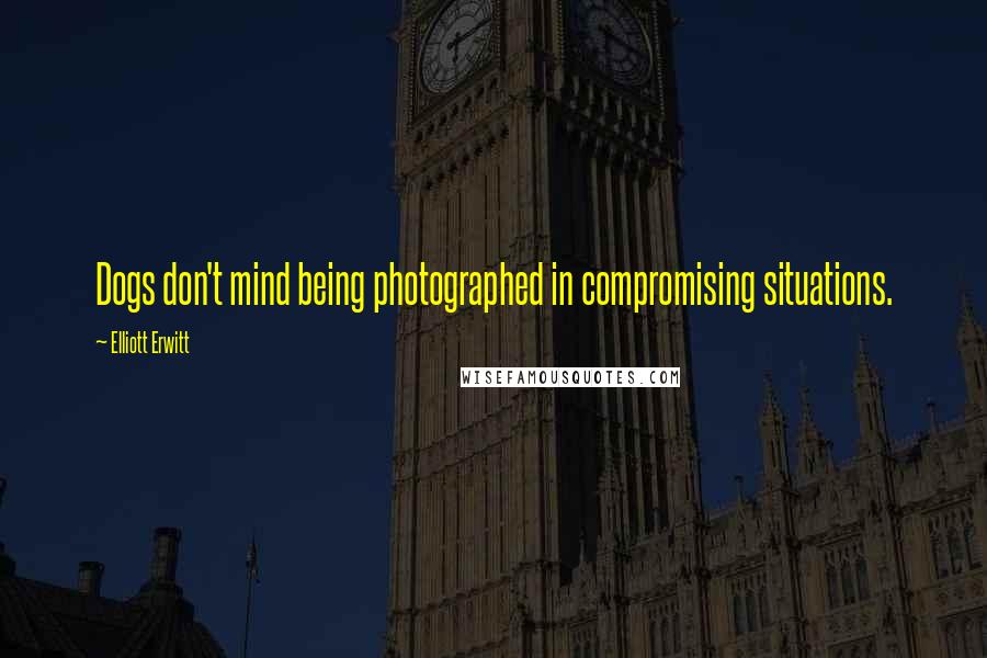 Elliott Erwitt Quotes: Dogs don't mind being photographed in compromising situations.