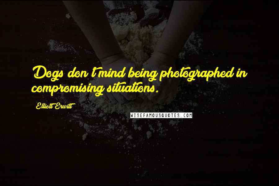Elliott Erwitt Quotes: Dogs don't mind being photographed in compromising situations.