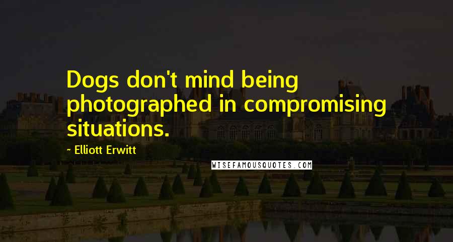 Elliott Erwitt Quotes: Dogs don't mind being photographed in compromising situations.