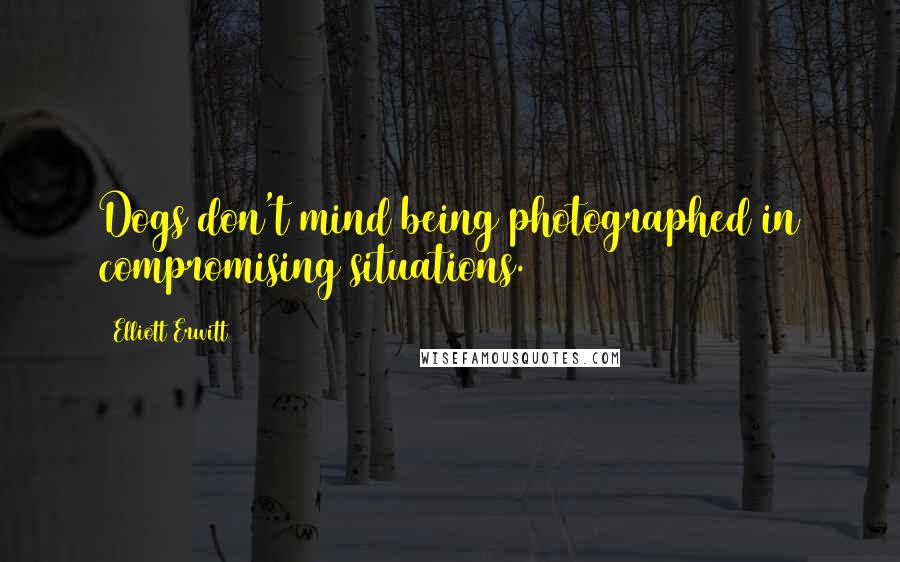Elliott Erwitt Quotes: Dogs don't mind being photographed in compromising situations.
