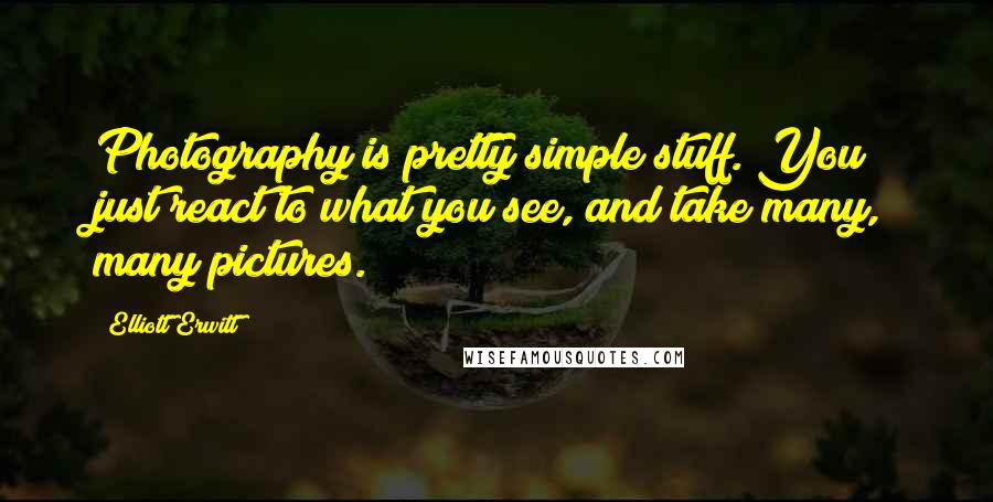 Elliott Erwitt Quotes: Photography is pretty simple stuff. You just react to what you see, and take many, many pictures.