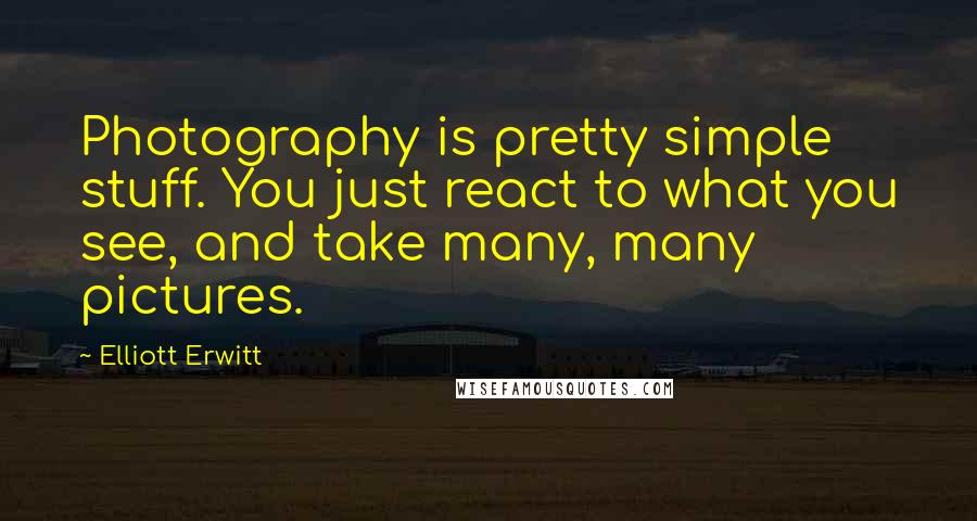 Elliott Erwitt Quotes: Photography is pretty simple stuff. You just react to what you see, and take many, many pictures.