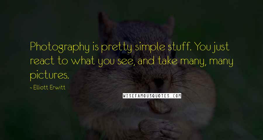 Elliott Erwitt Quotes: Photography is pretty simple stuff. You just react to what you see, and take many, many pictures.