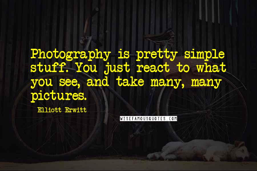 Elliott Erwitt Quotes: Photography is pretty simple stuff. You just react to what you see, and take many, many pictures.