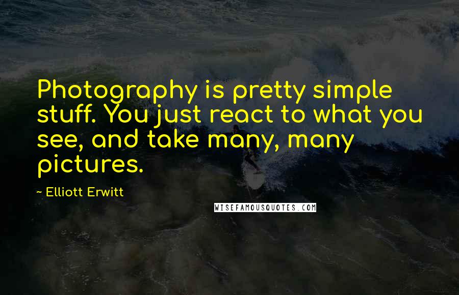 Elliott Erwitt Quotes: Photography is pretty simple stuff. You just react to what you see, and take many, many pictures.