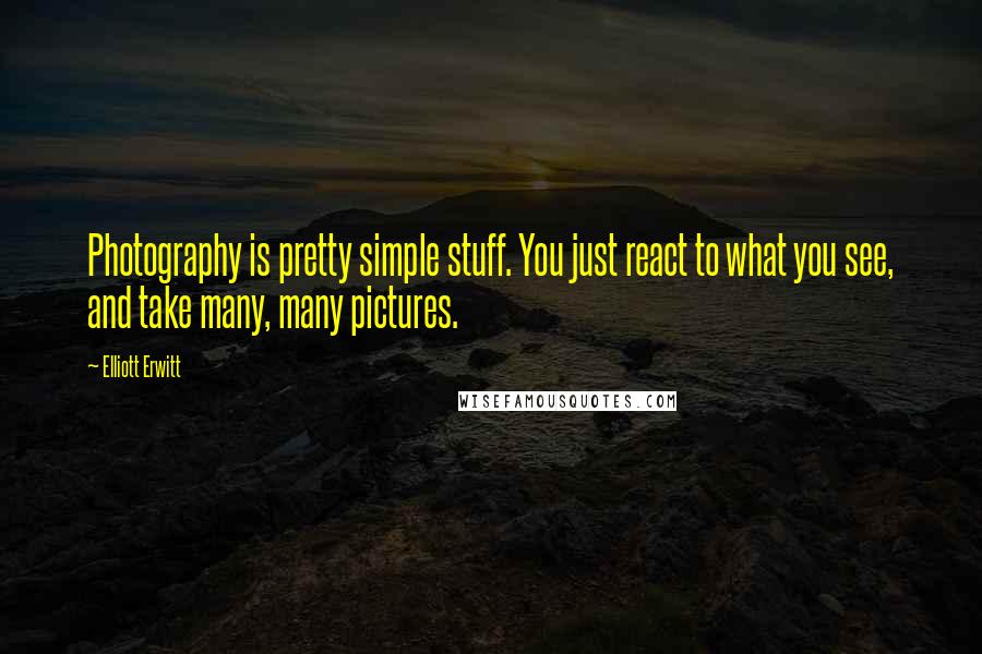 Elliott Erwitt Quotes: Photography is pretty simple stuff. You just react to what you see, and take many, many pictures.