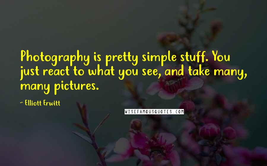 Elliott Erwitt Quotes: Photography is pretty simple stuff. You just react to what you see, and take many, many pictures.