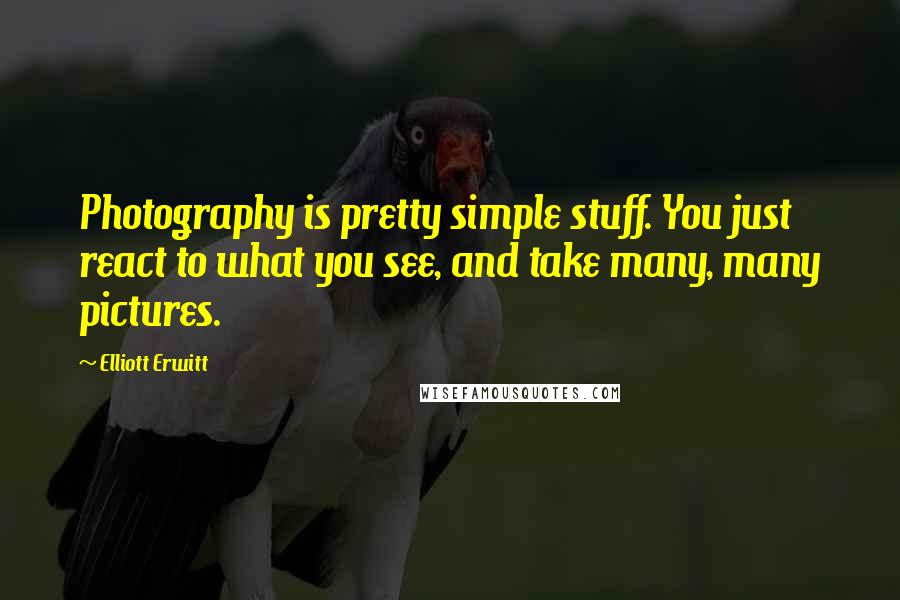 Elliott Erwitt Quotes: Photography is pretty simple stuff. You just react to what you see, and take many, many pictures.